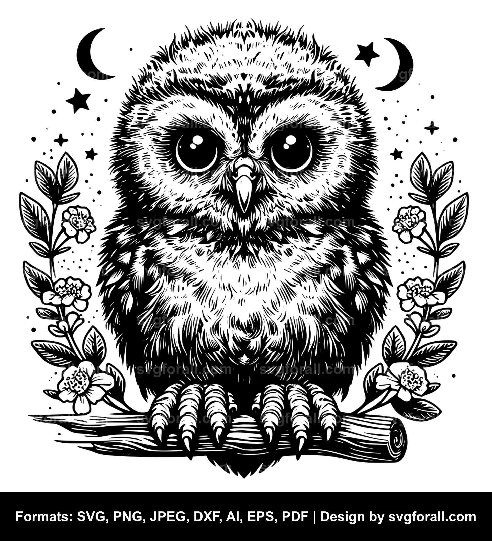 Baby Owl Vector SVG