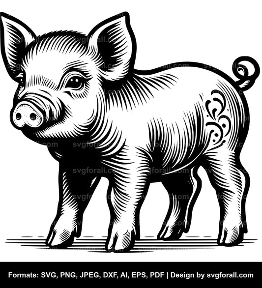 Baby Pig SVG PNG