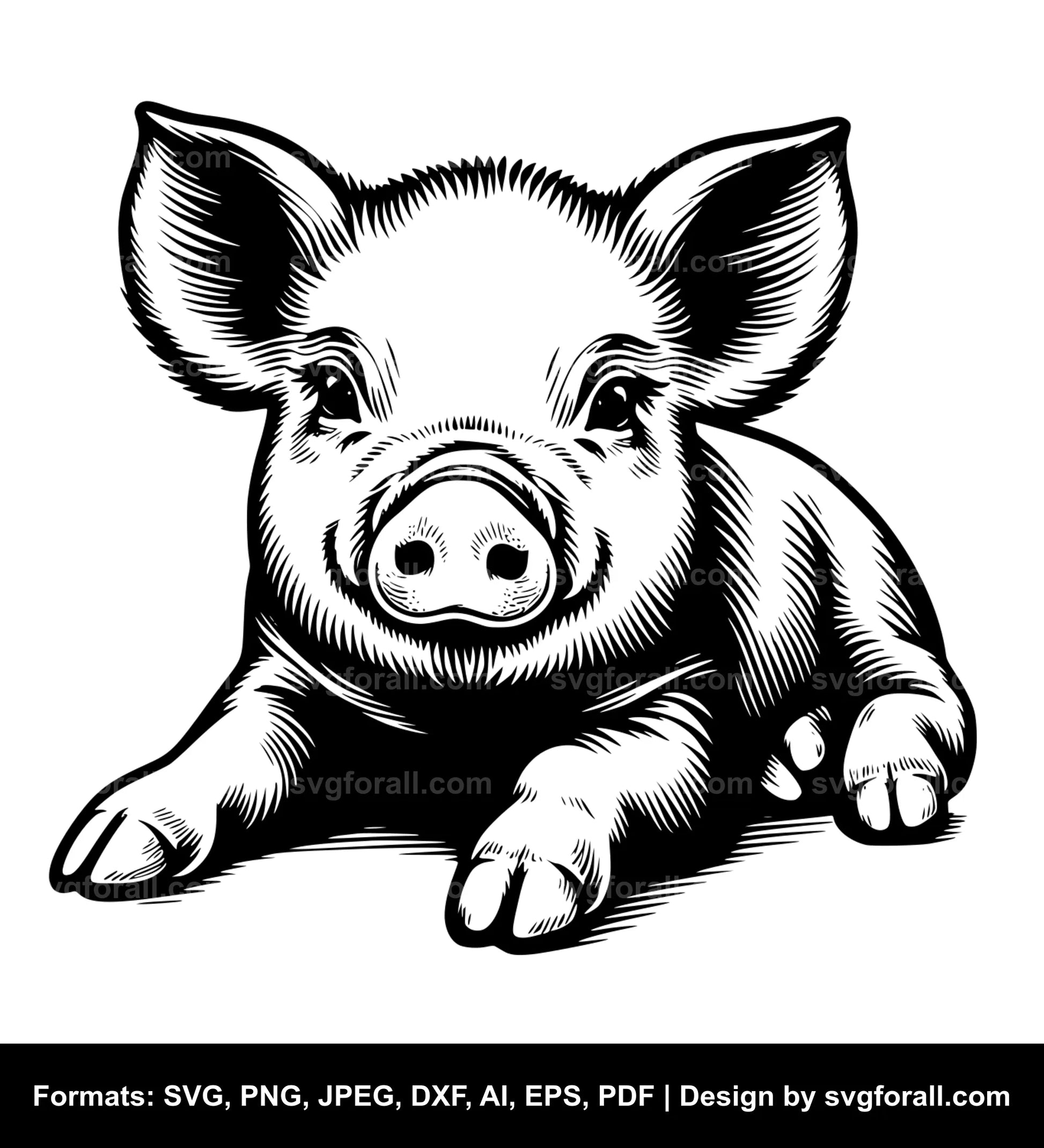 Baby Pig SVG Vector