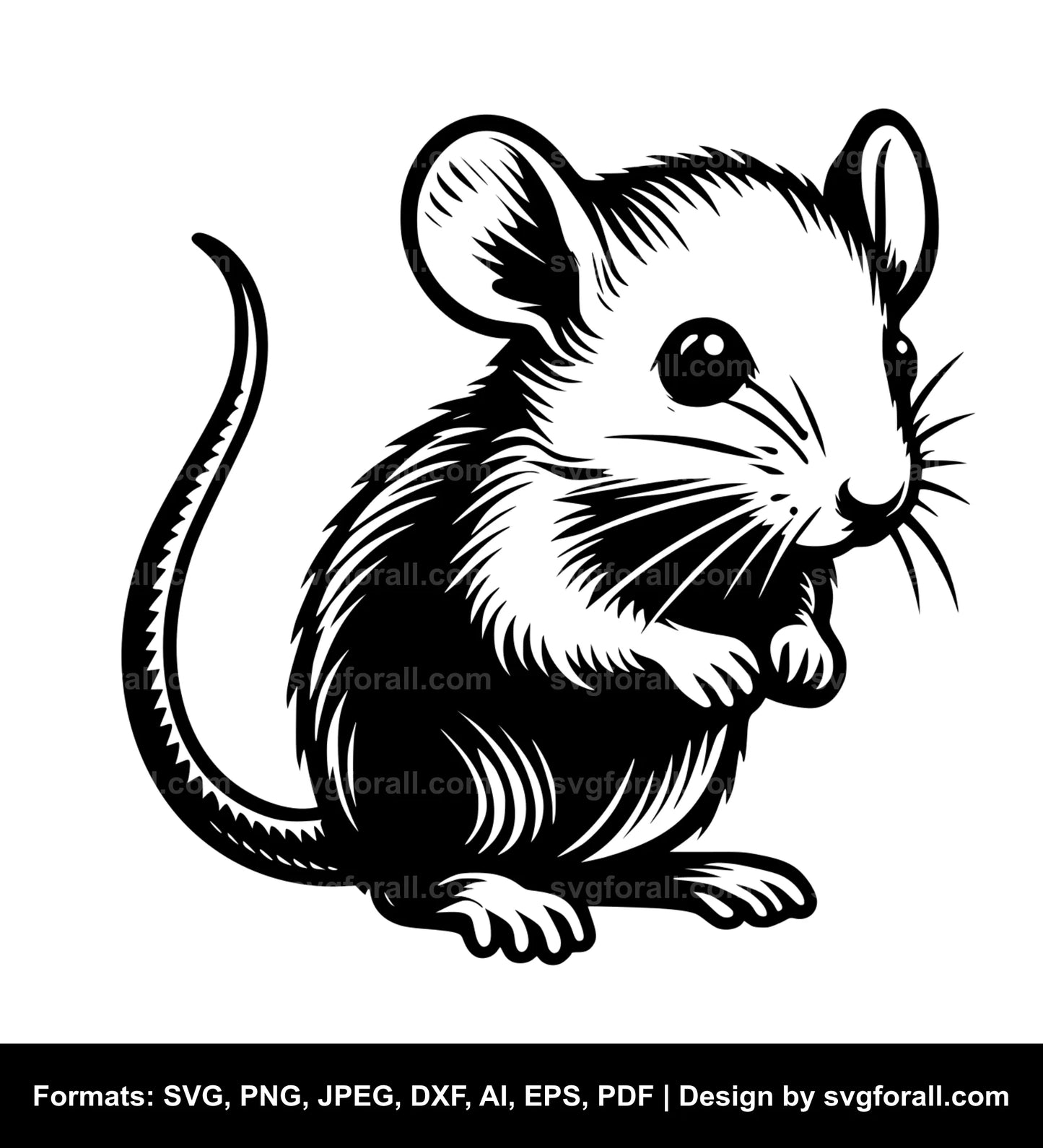 Baby Rat Cricut SVG