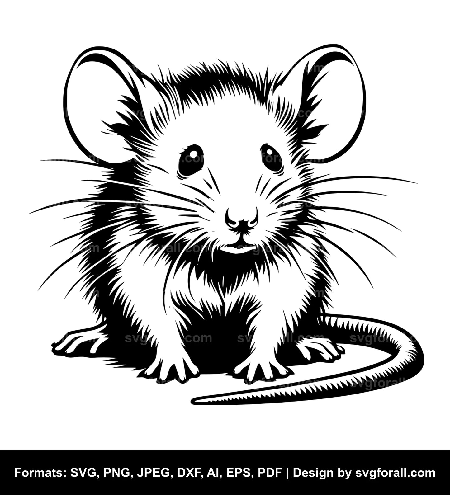 Baby Rat SVG