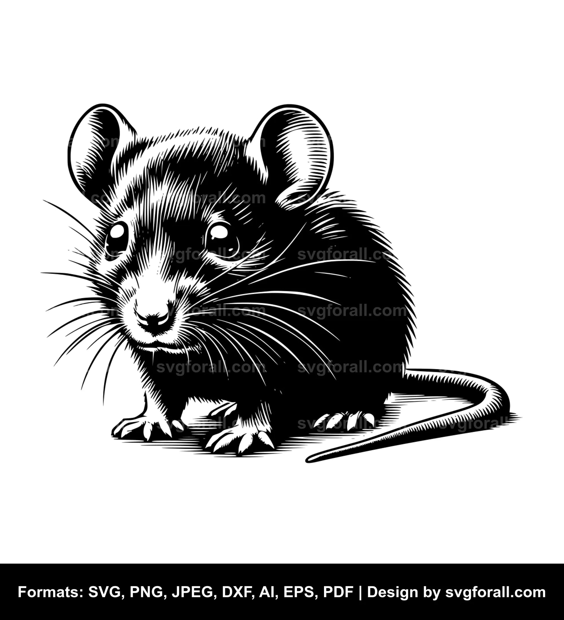 Baby Rat Vector SVG