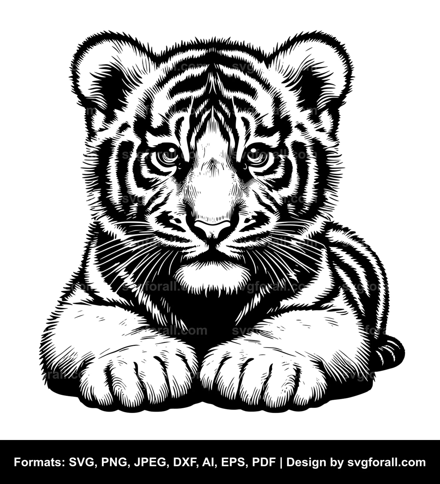 Baby Tiger Clipart SVG