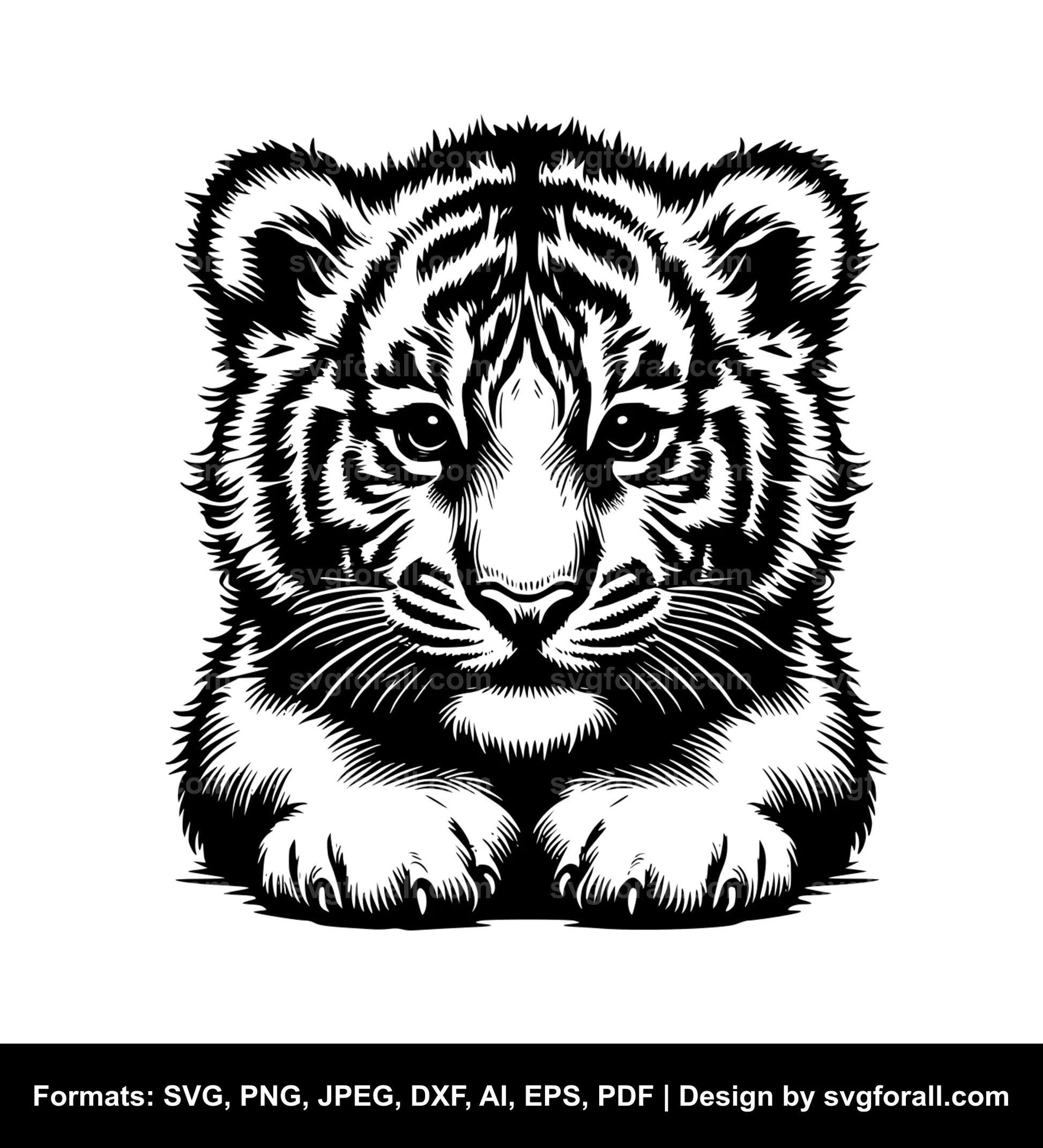 Baby Tiger SVG Design