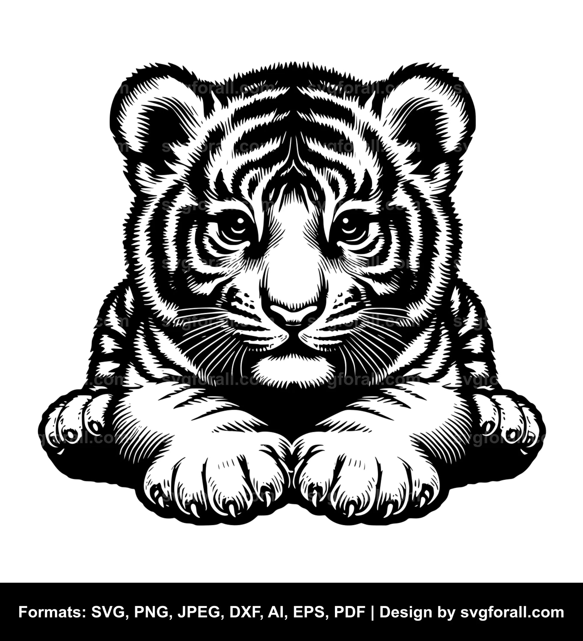 Baby Tiger SVG Vector