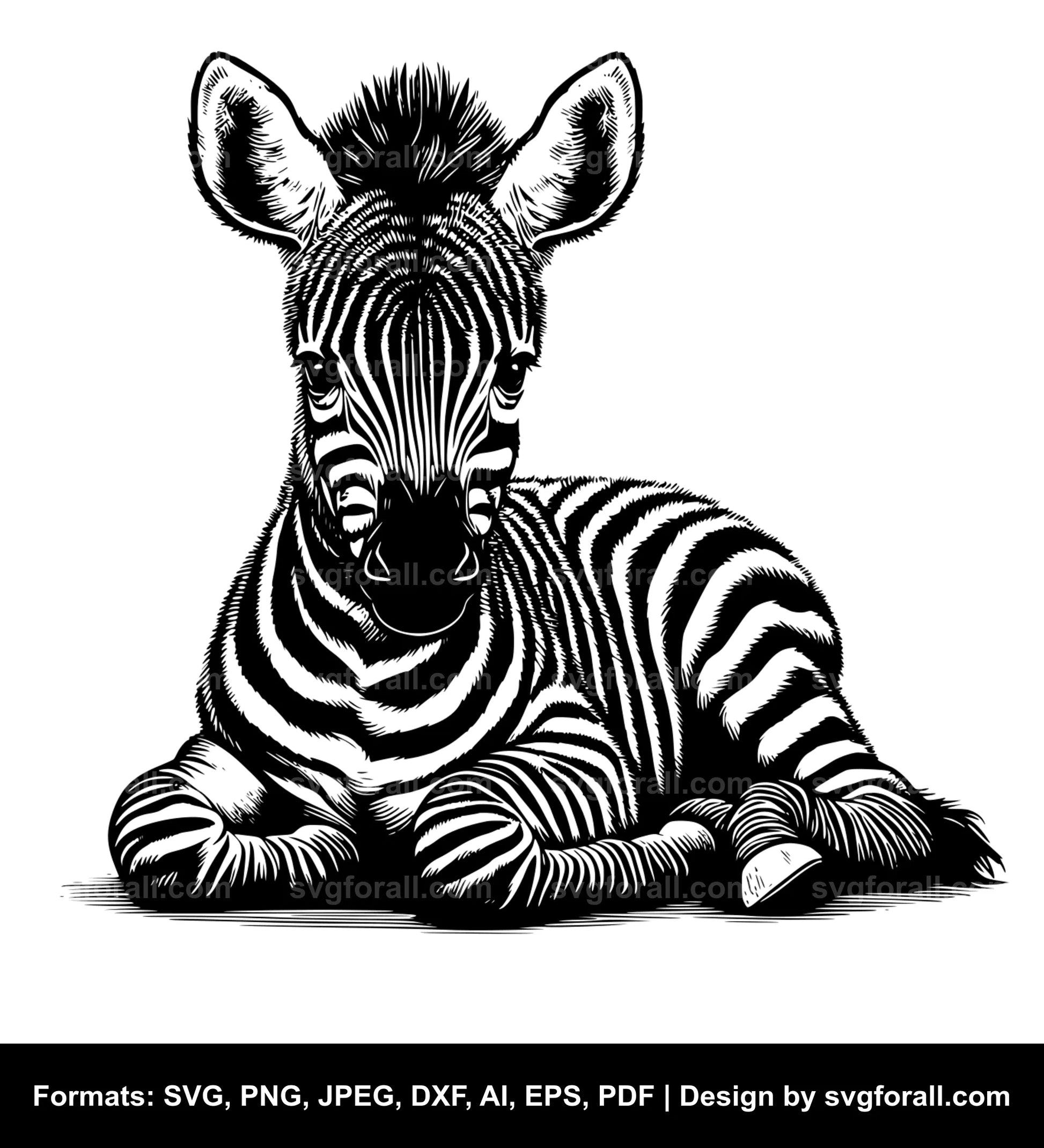 Baby Zebra Black SVG