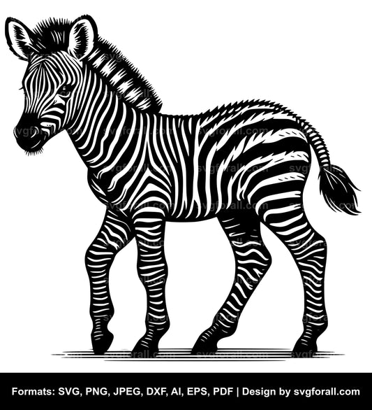 Baby Zebra SVG