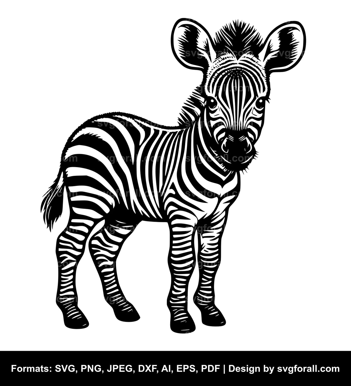 Baby Zebra SVG Design