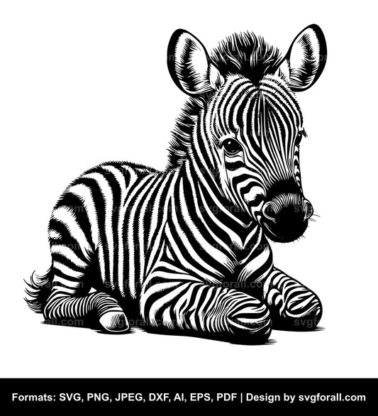 Baby Zebra SVG File