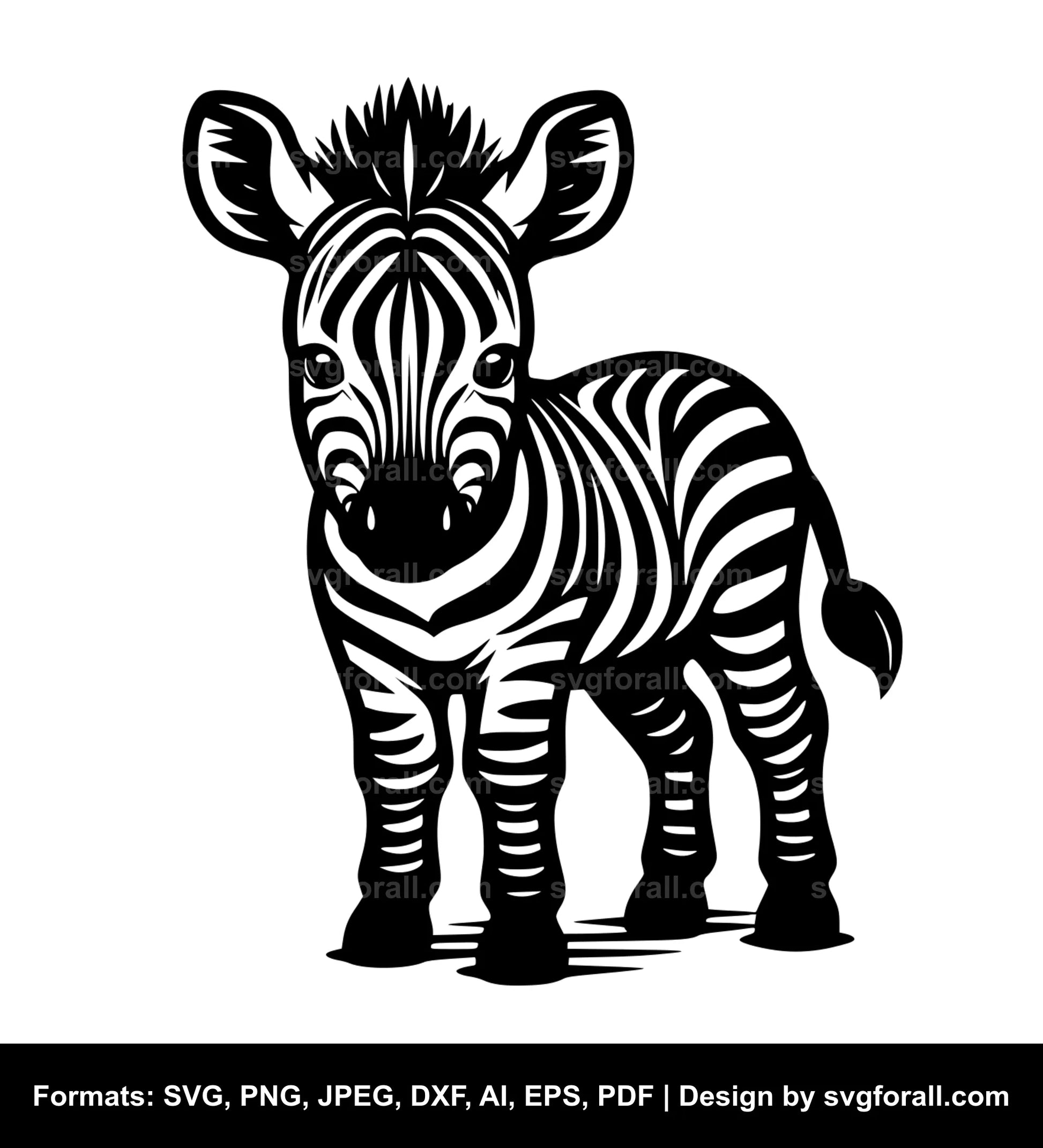 Baby Zebra SVG Vector