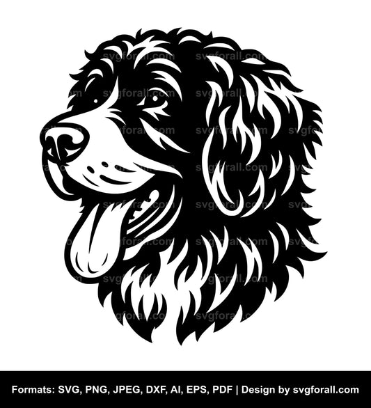 Barbet Dog SVG File