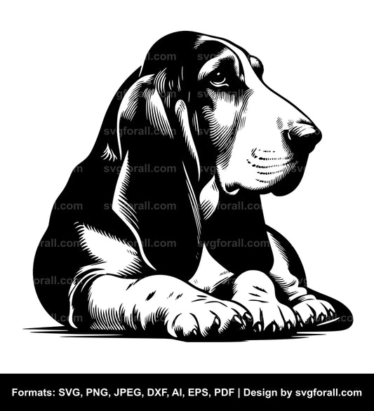 Basset Hound Dog SVG