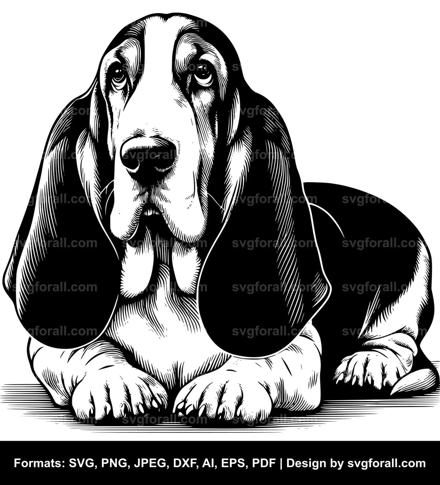 Basset Hound Dog SVG PNG