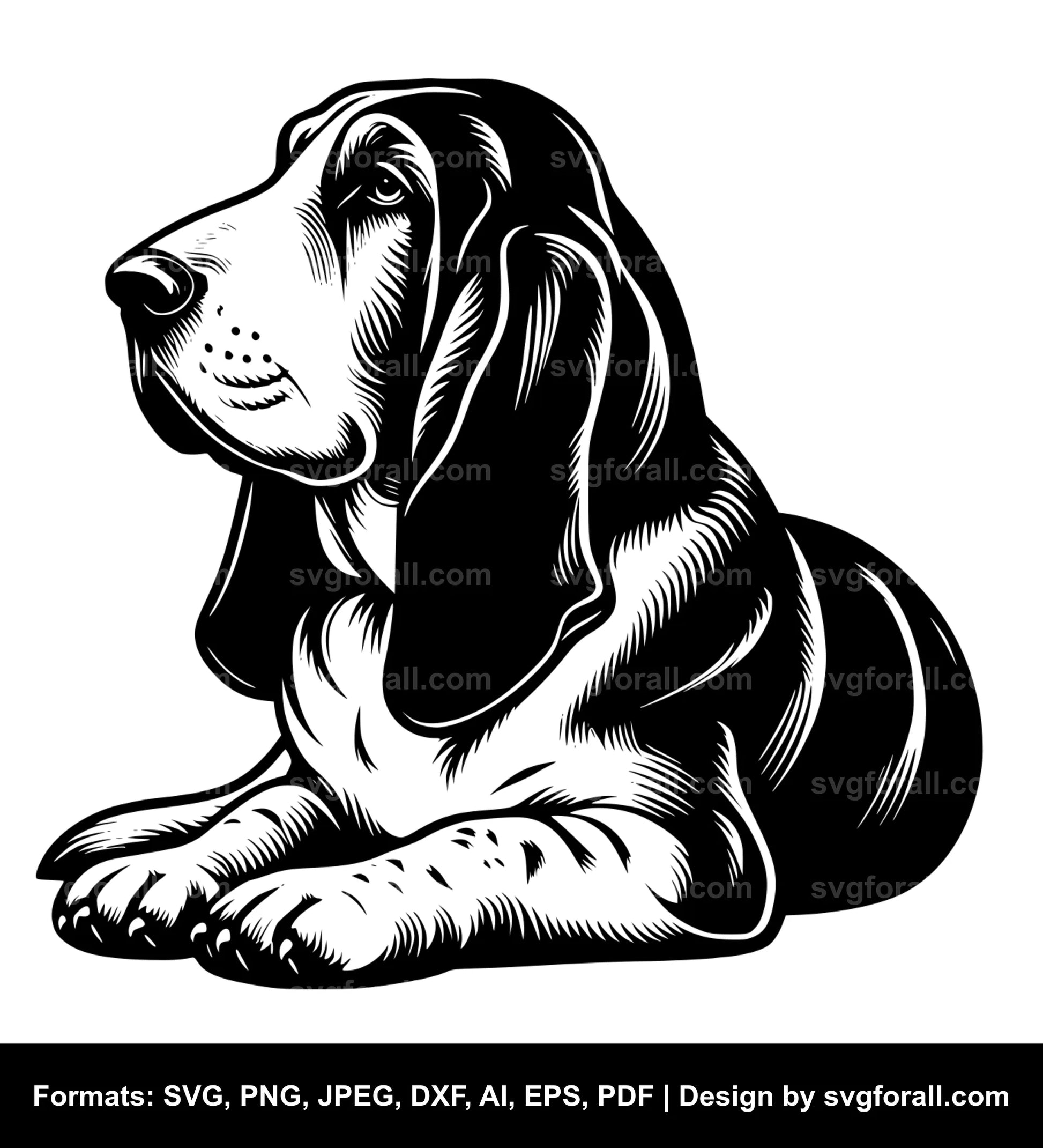 Basset Hound Dog SVG Vector