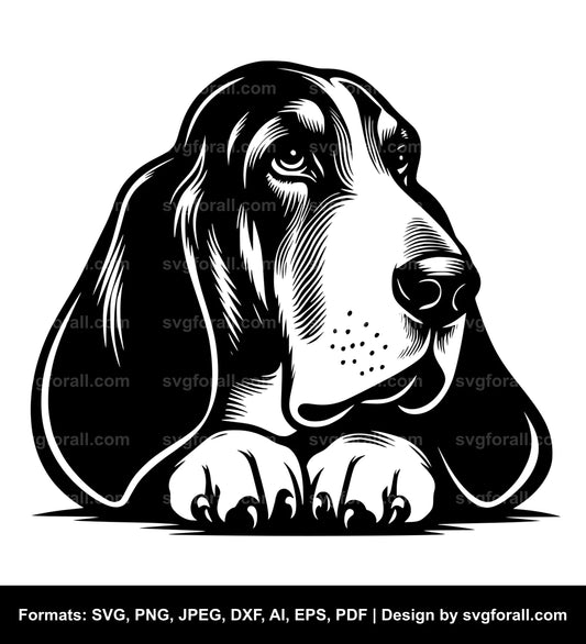 Basset Hound Dog Vector SVG