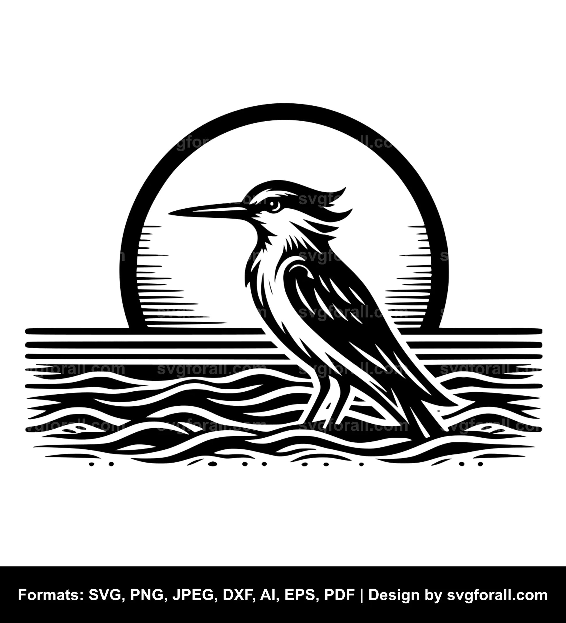 Beach Bird Vector SVG