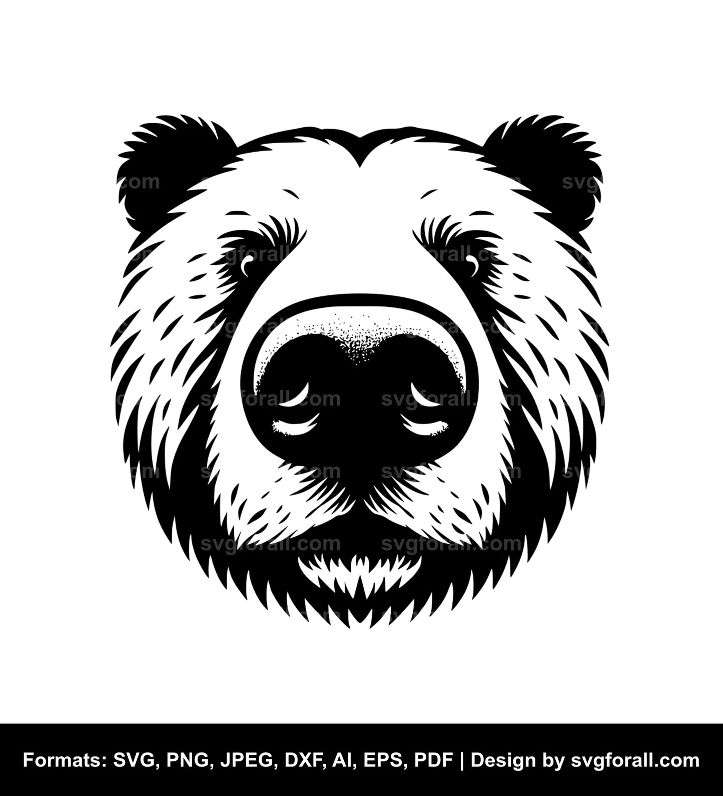 Bear SVG Clipart