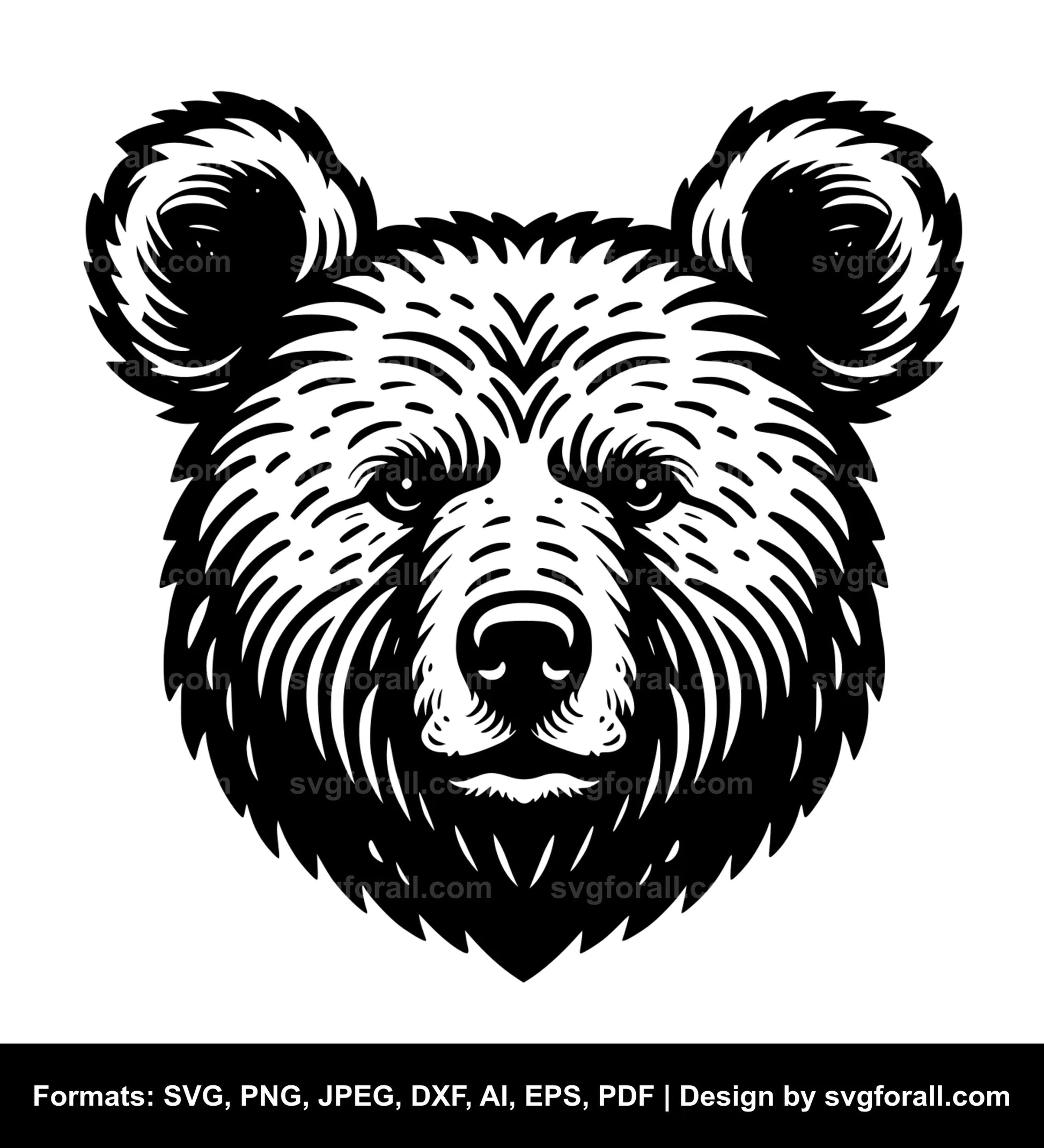 Bear SVG Illustration