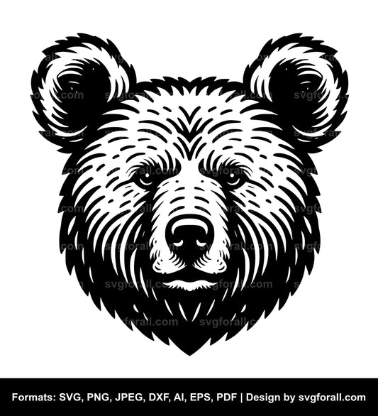 Bear SVG Illustration