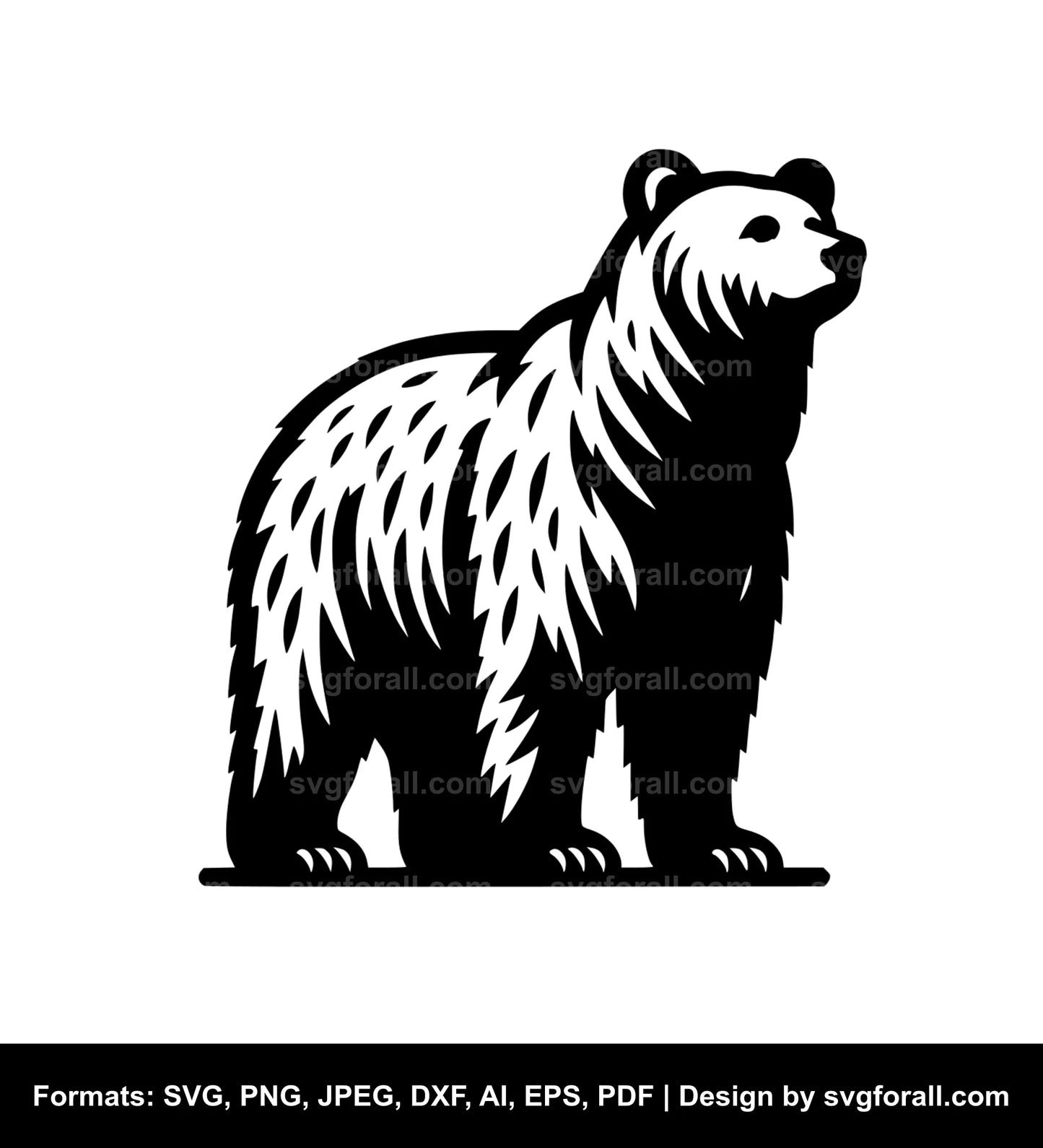 Bear Standing SVG