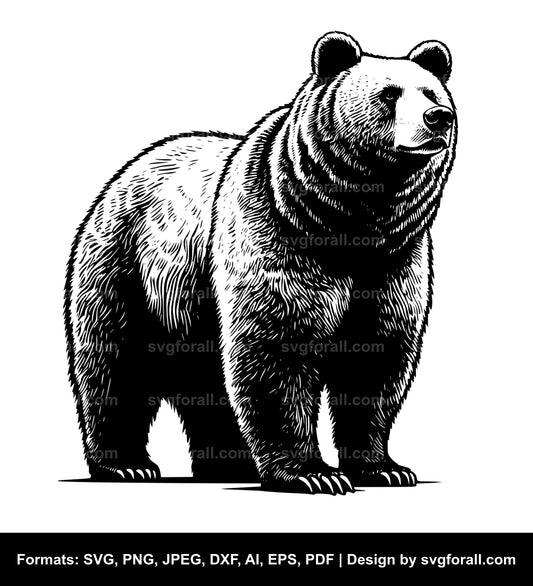 Bear Standing SVG PNG