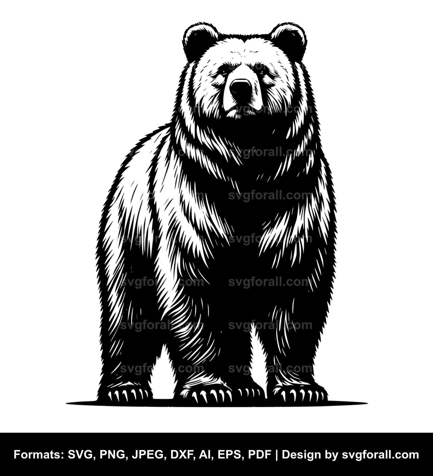 Bear Standing SVG Vector