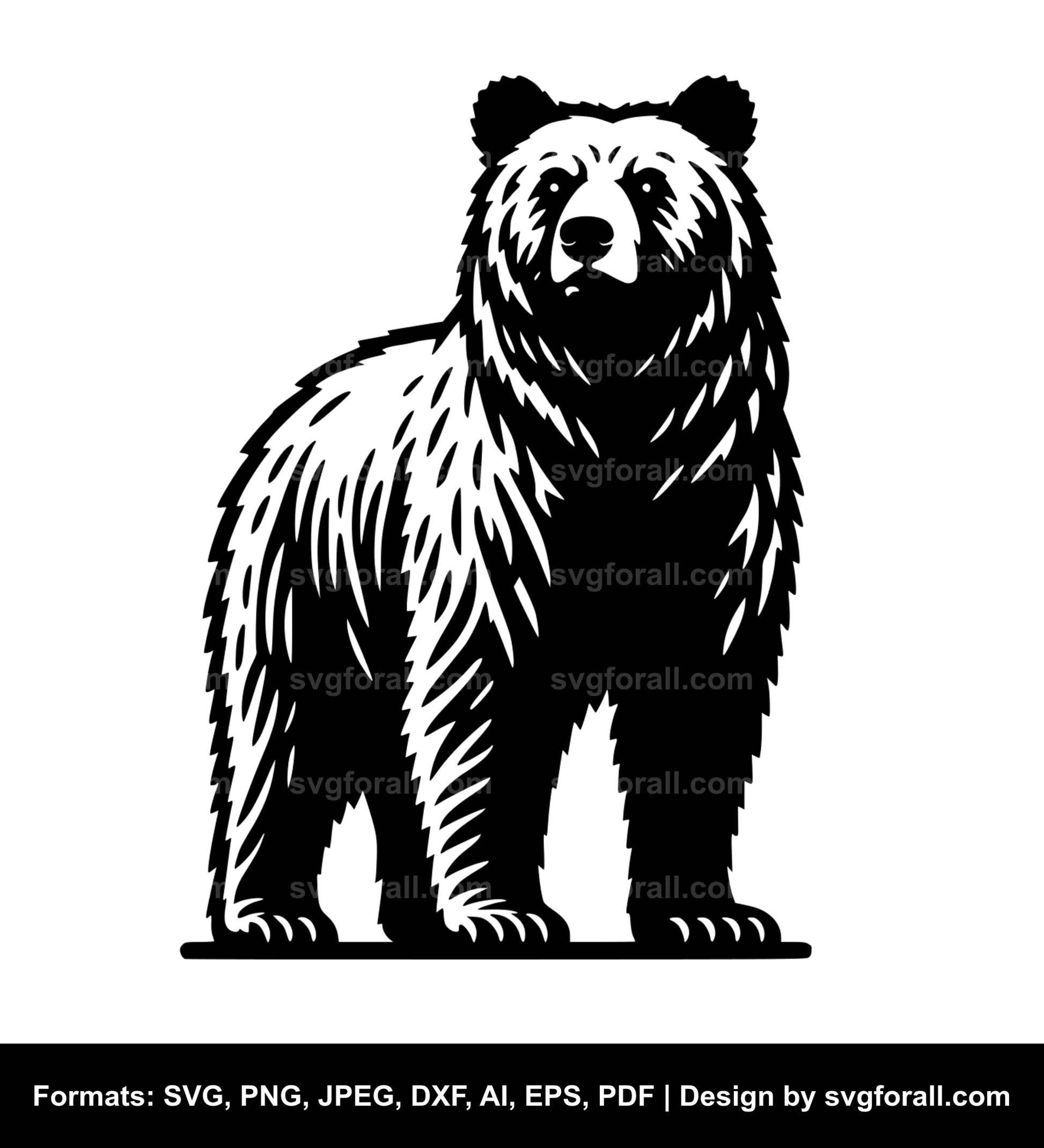 Bear Standing Up SVG PNG