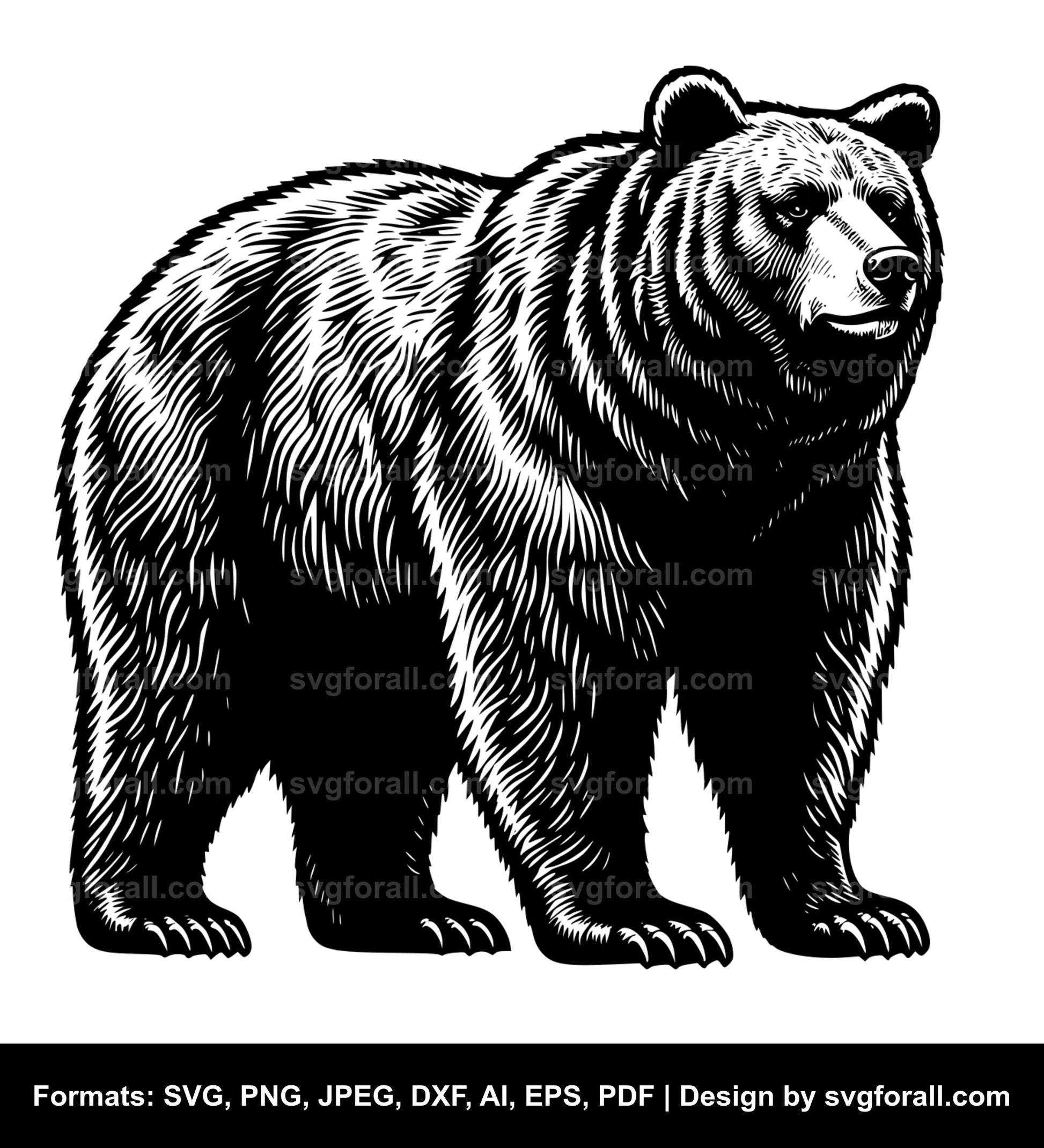 Bear Standing Up SVG Vector