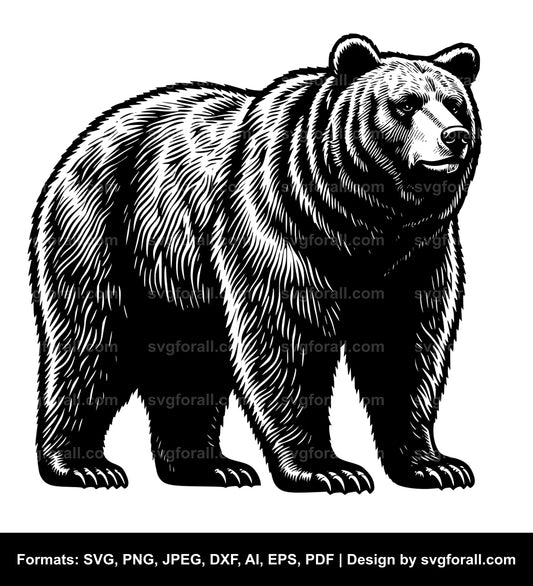 Bear Standing Up SVG Vector