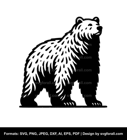 Bear Standing Vector SVG