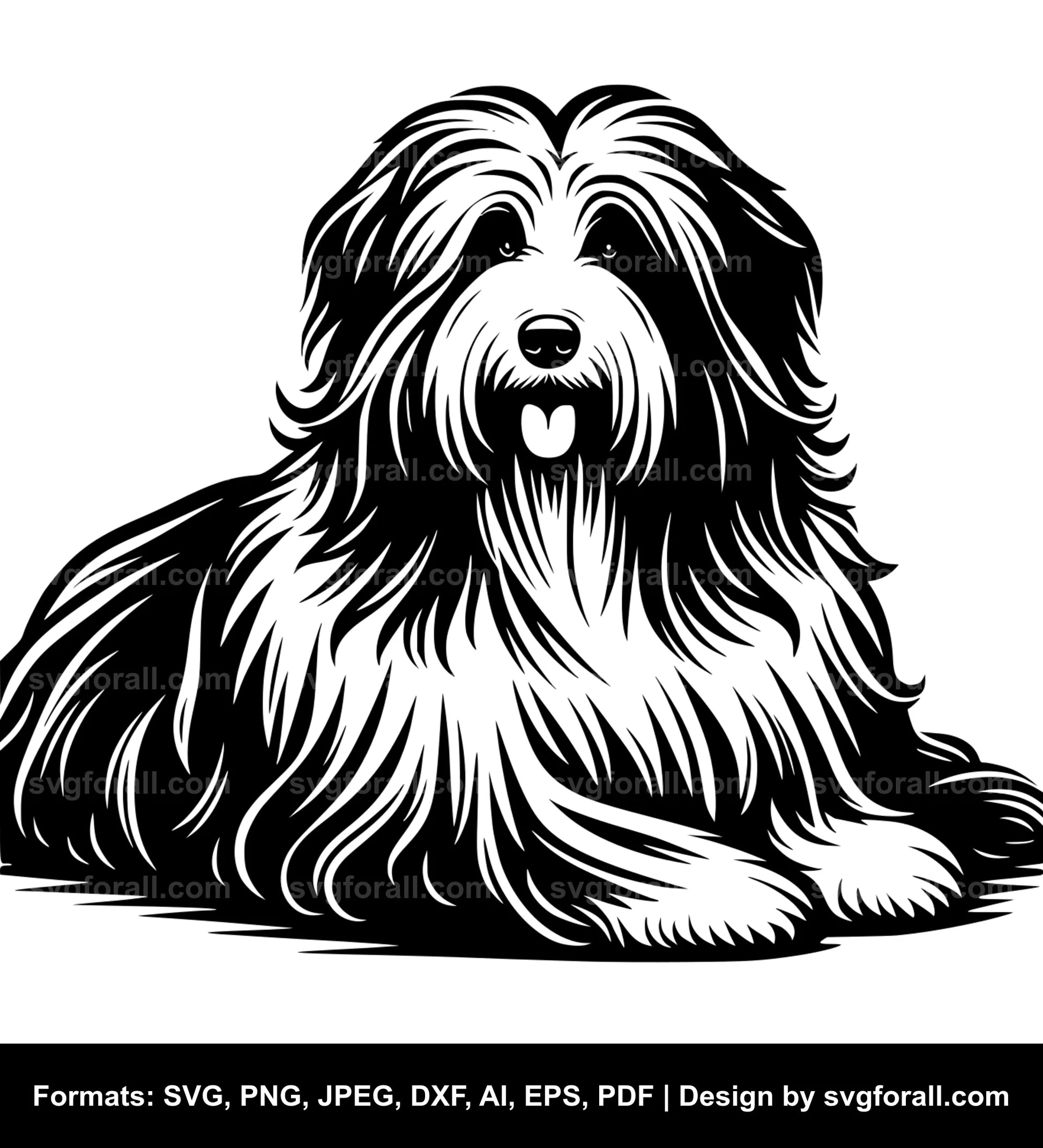 Bearded Collie Dog Black SVG