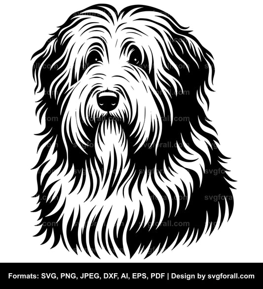 Bearded Collie Dog SVG Vector