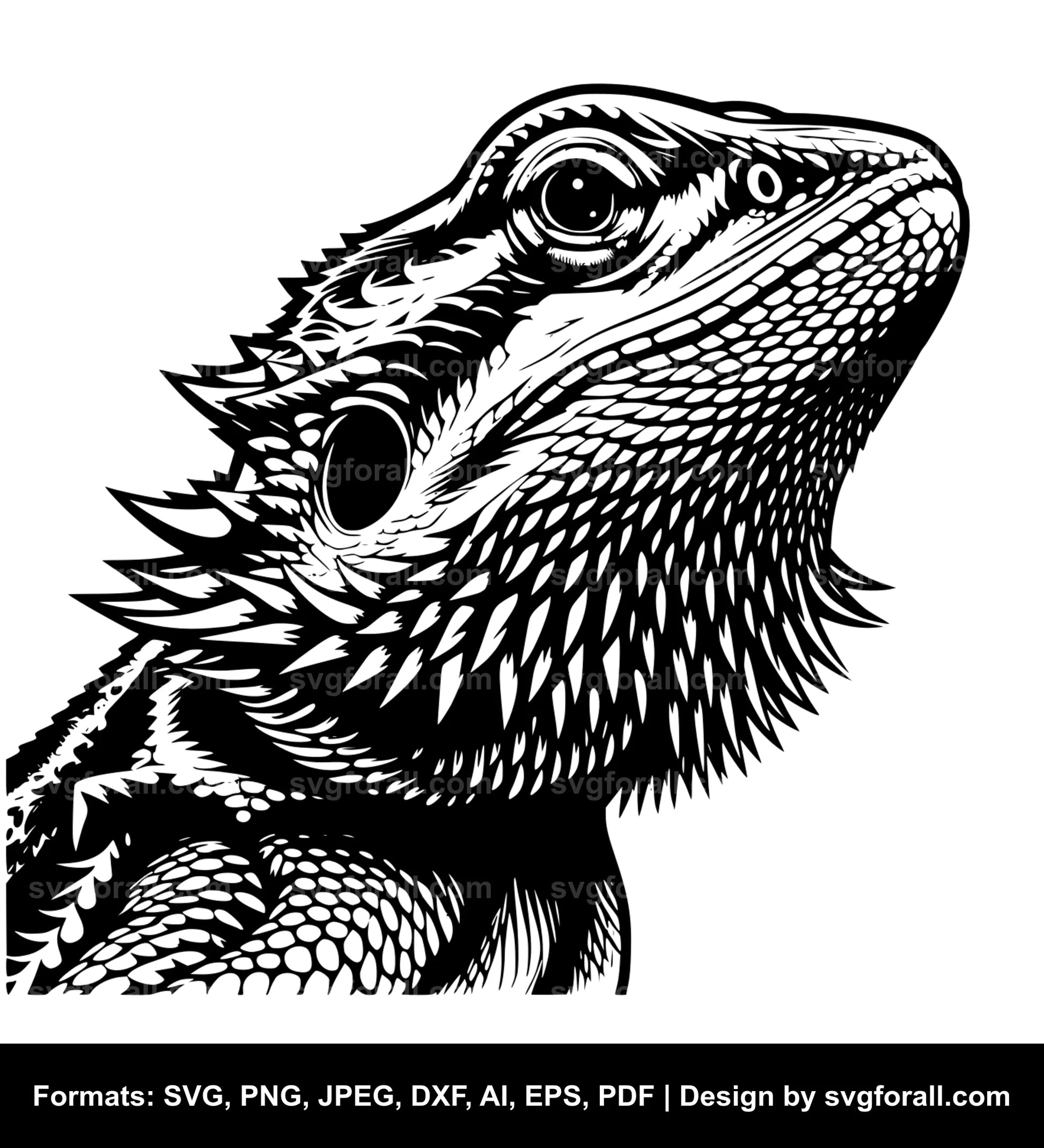 Bearded Dragon SVG