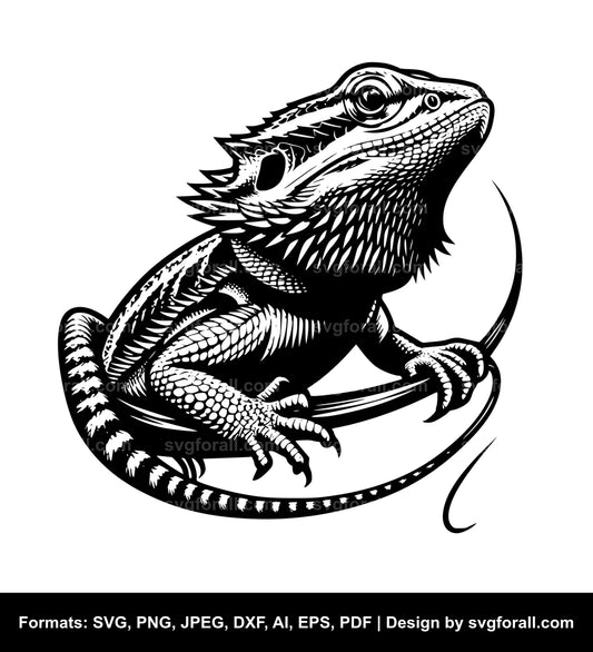 Bearded Dragon SVG PNG