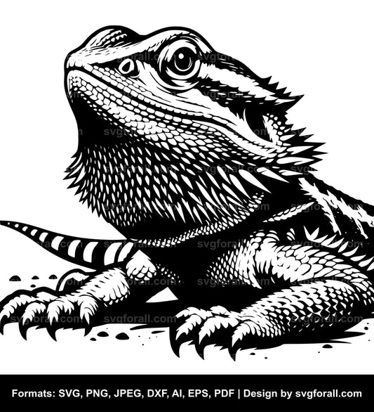 Bearded Dragon SVG Vector