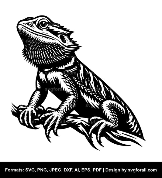 Bearded Dragon Vector SVG