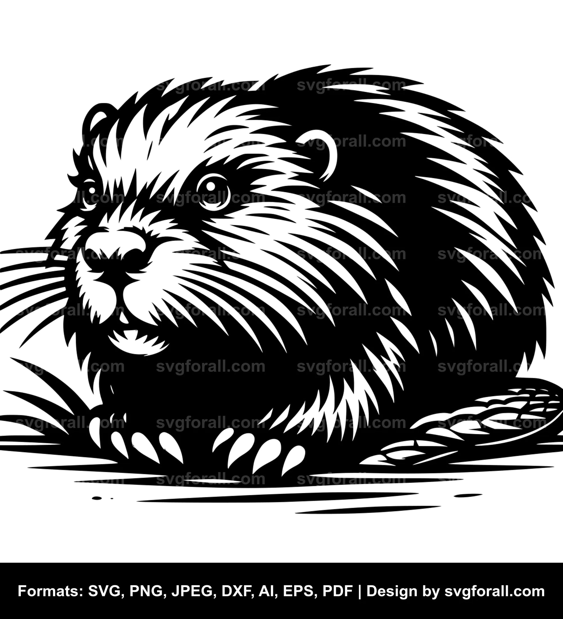 Beaver SVG PNG