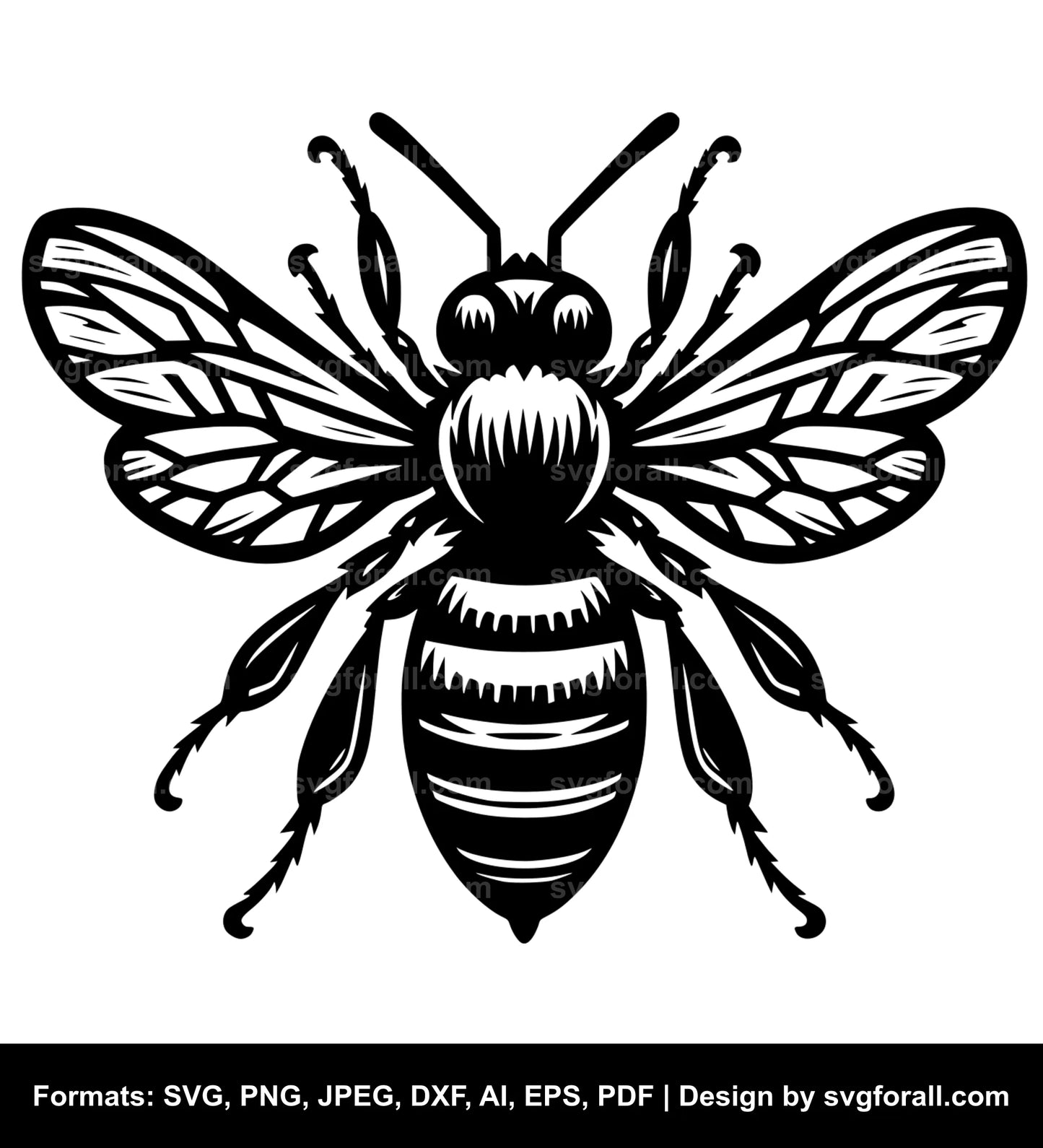 Bee SVG Clip Art