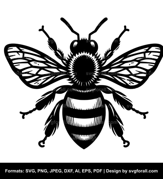 Bee SVG Clipart