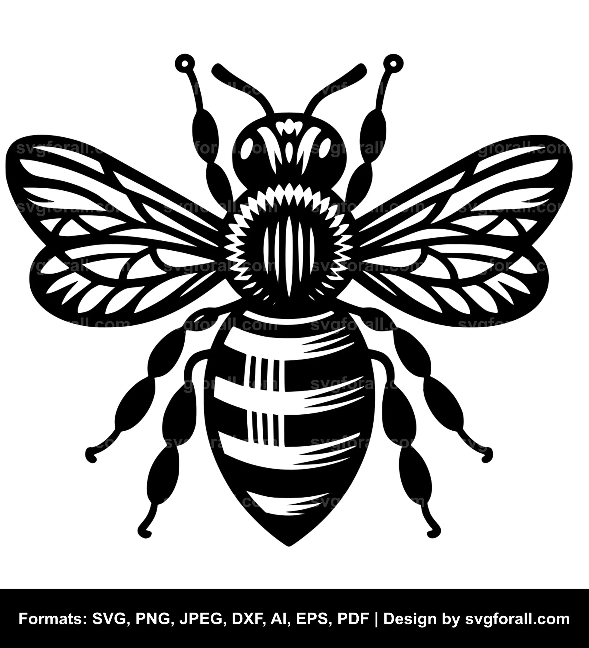 Bee SVG Design