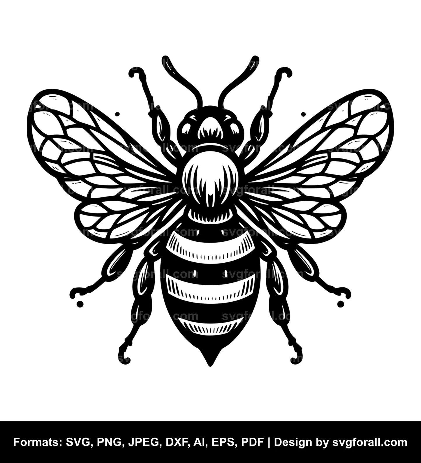 Bee SVG PNG Image