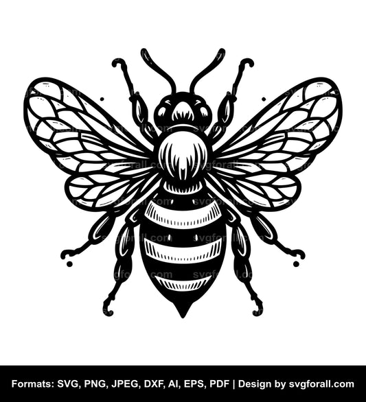 Bee SVG PNG Image