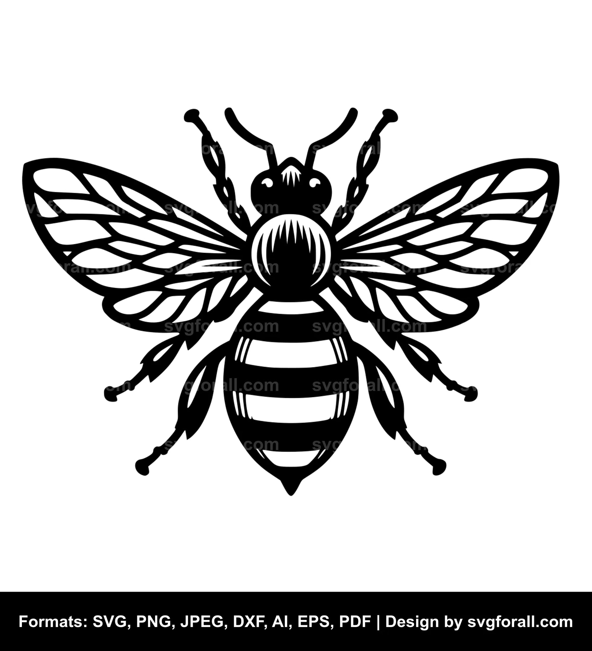 Bee SVG Vector