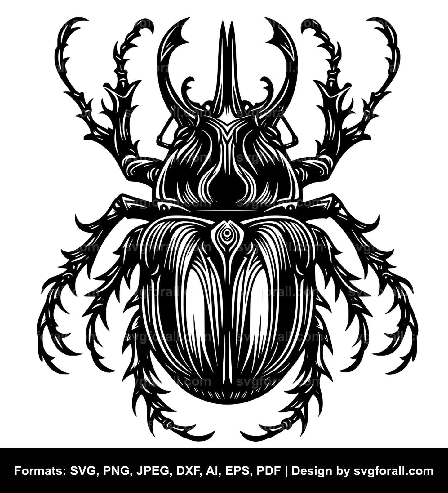 Beetle SVG PNG