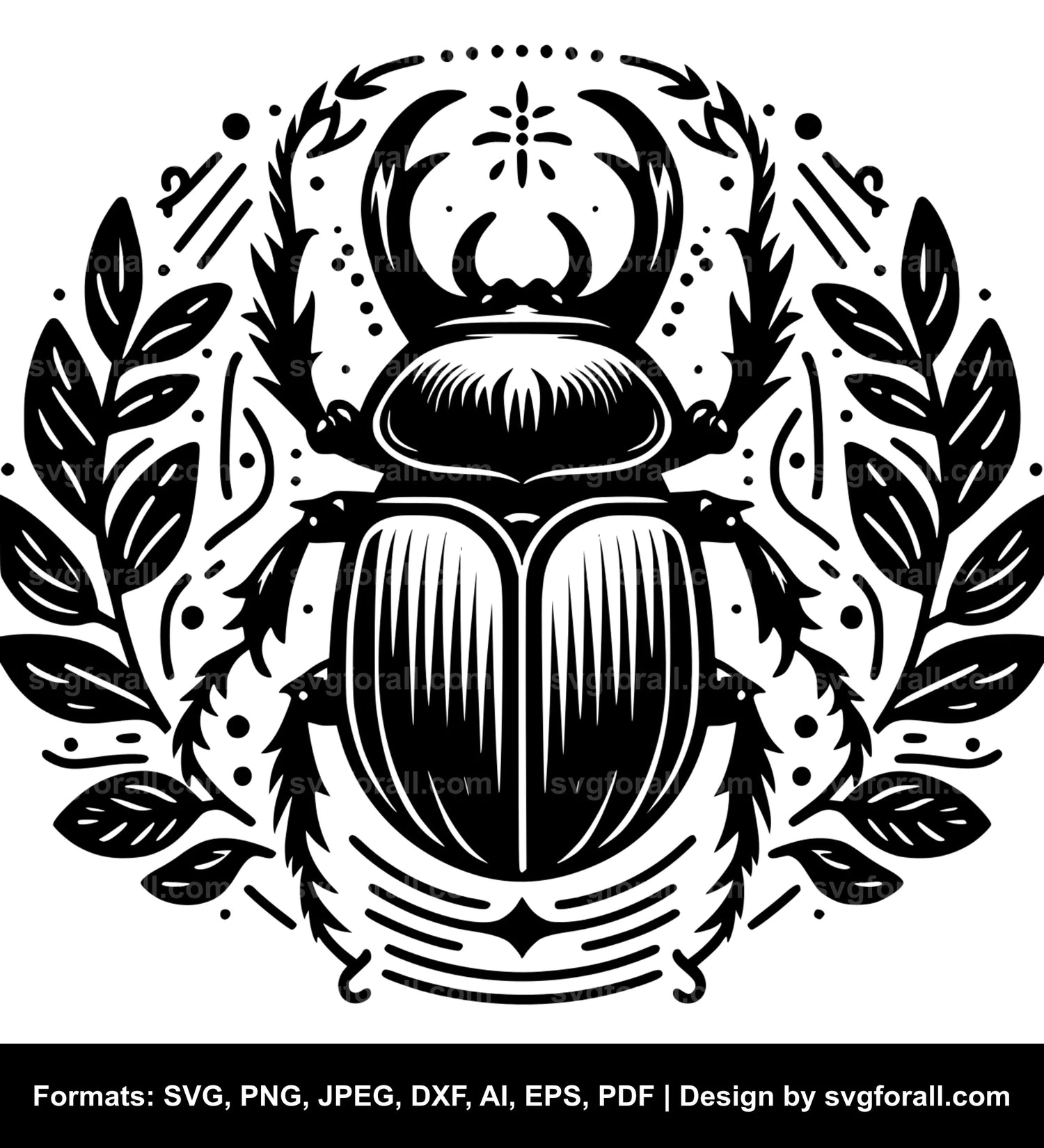 Beetle Vector SVG