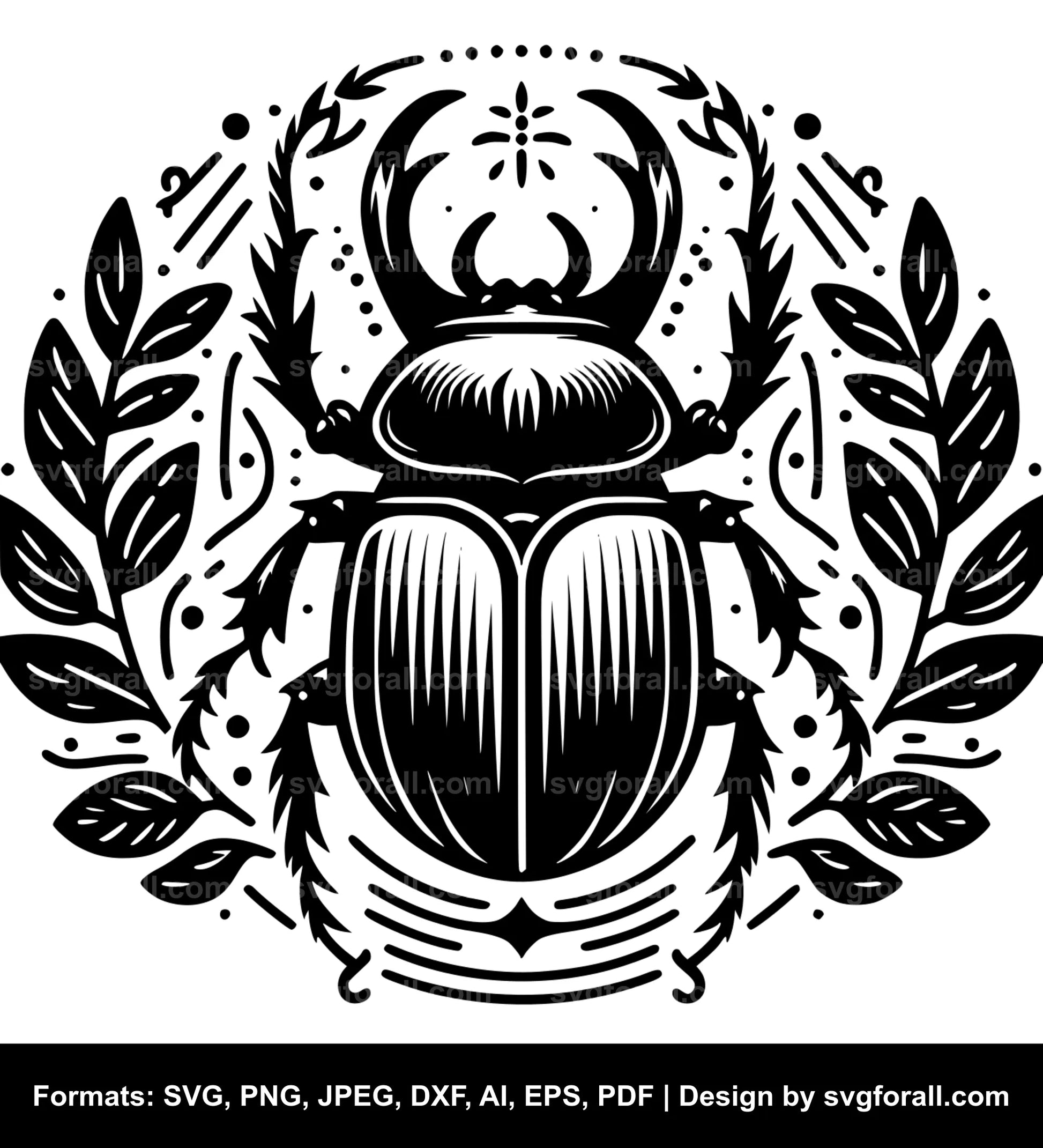 Beetle Vector SVG