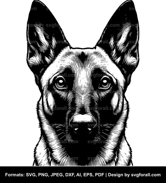 Belgian Malinois Dog SVG