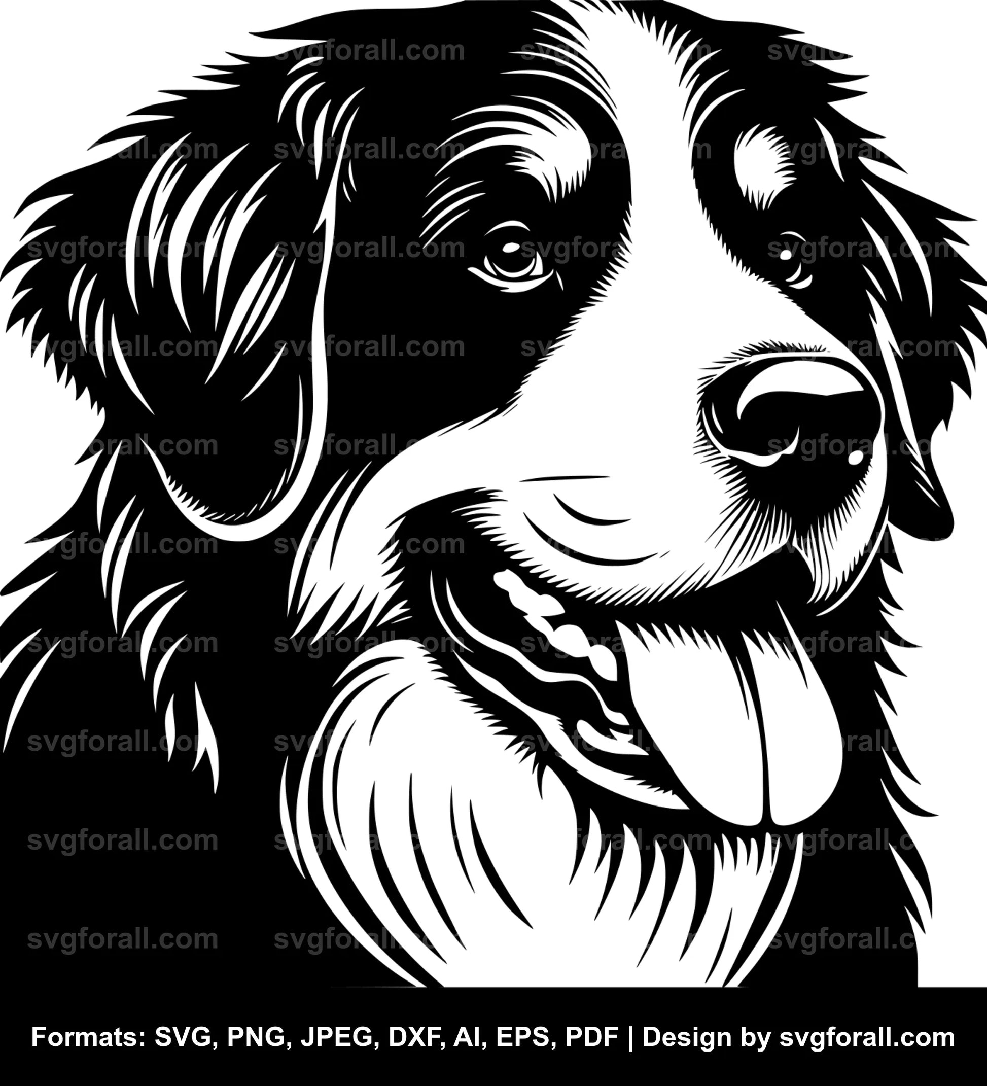 Bernese Mountain Dog SVG File