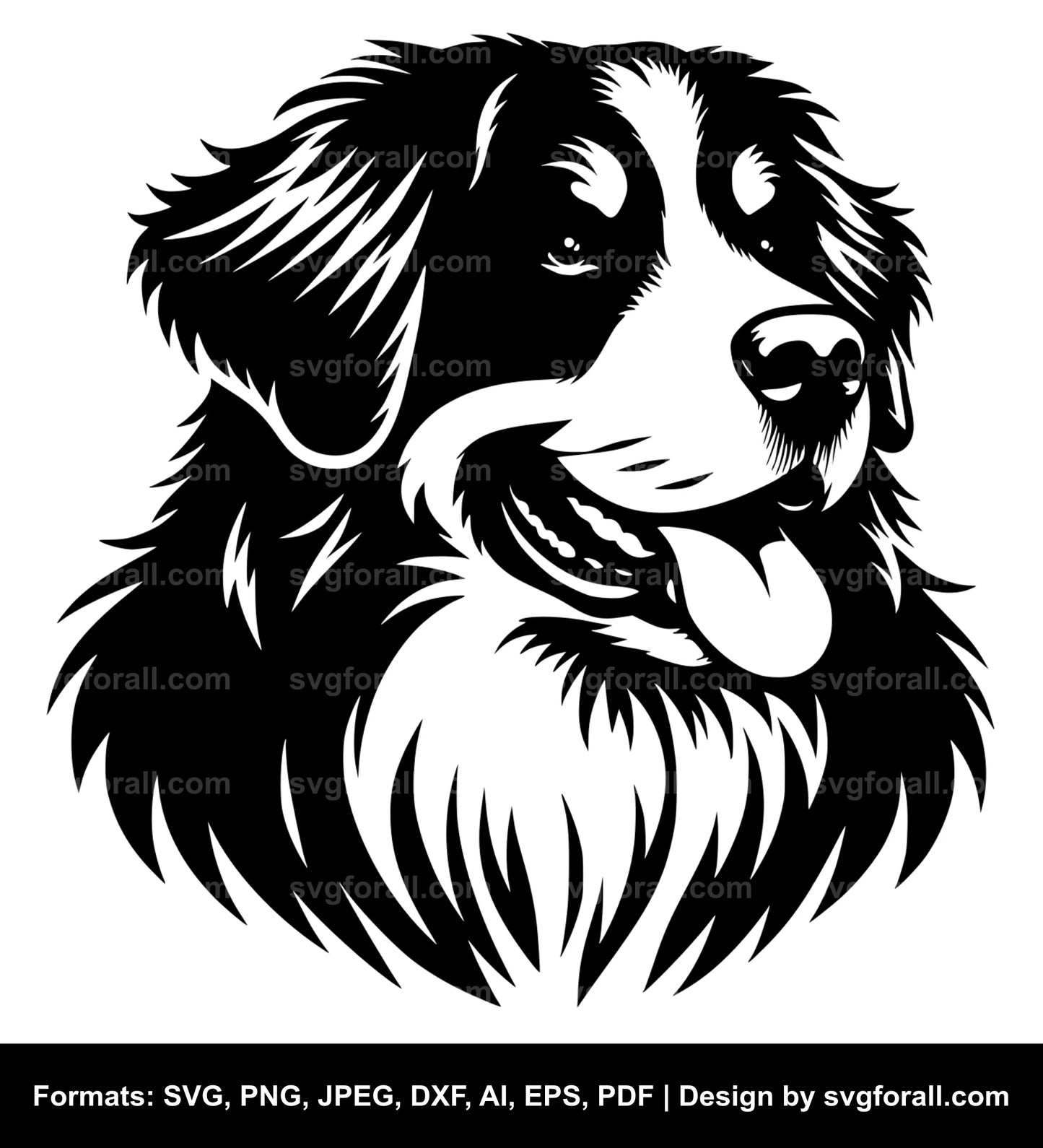 Bernese Mountain Dog SVG PNG