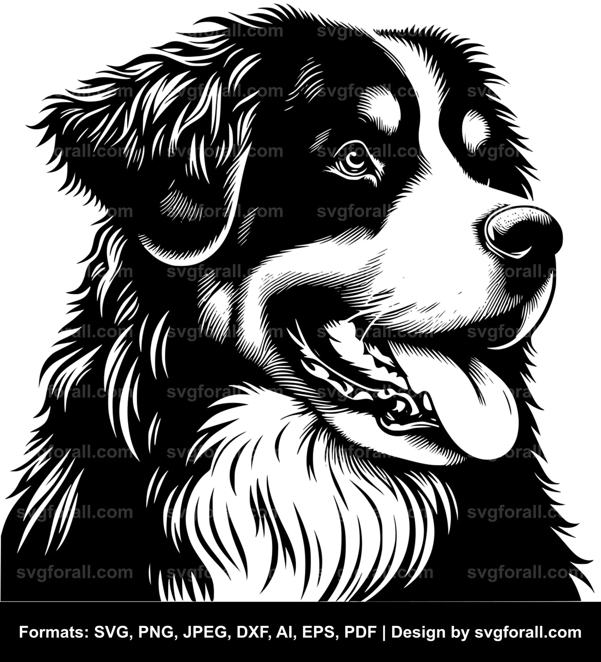 Bernese Mountain Dog SVG Vector